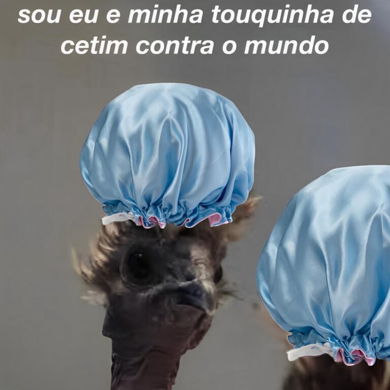 Cópia de Galinhas Inseguras (3) - o perfil usa humor para transformar inseguranças cotidianas em sátira digital