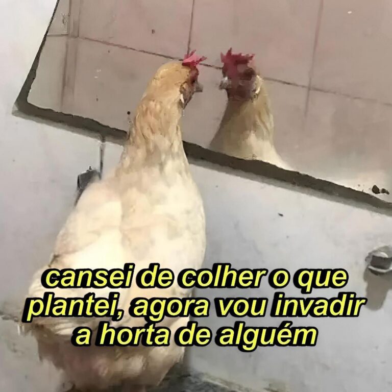 Cópia de Galinhas Inseguras (5) - o perfil usa humor para transformar inseguranças cotidianas em sátira digital